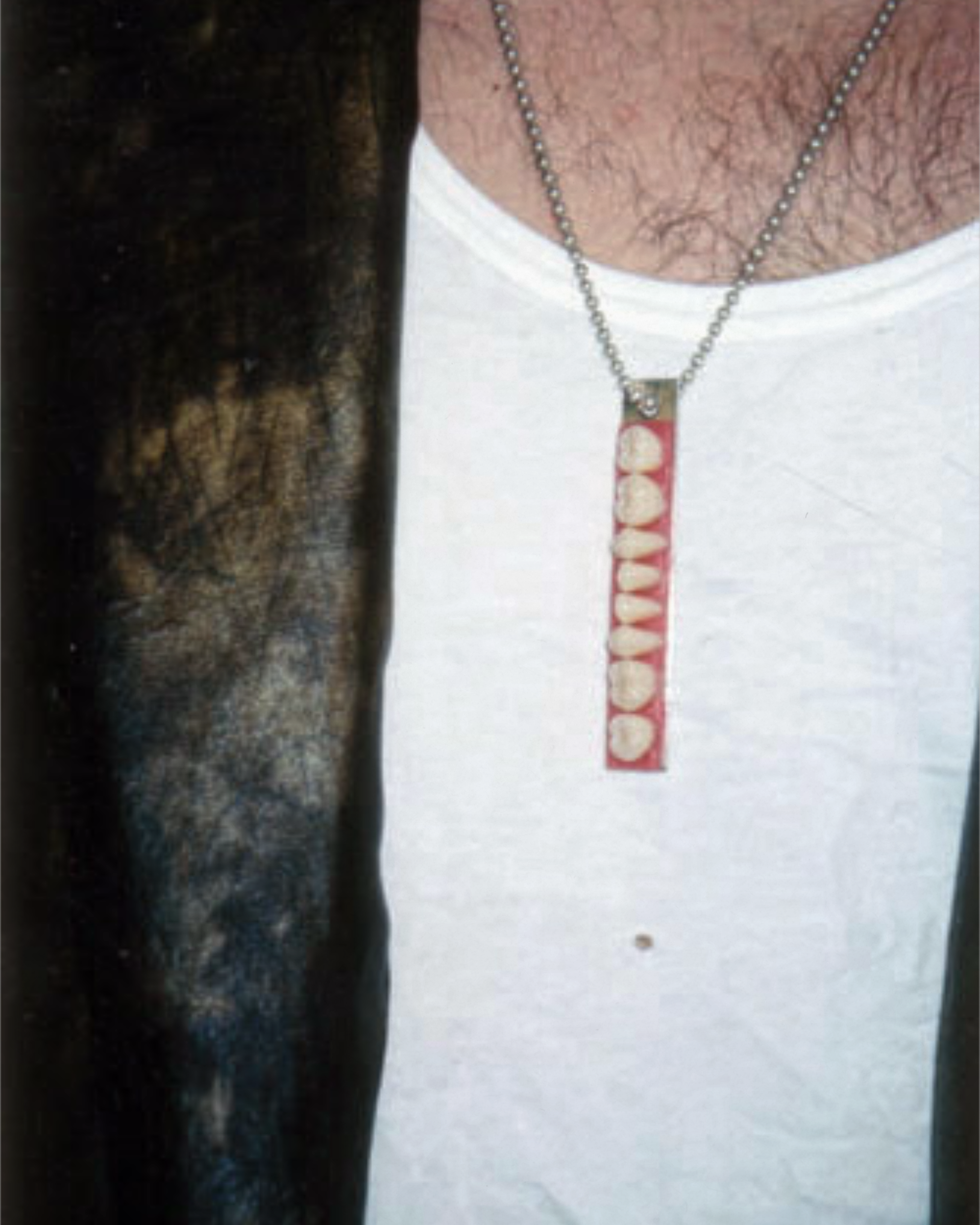 Carol Christian Poell 'Public Freedom' (FW 2001)