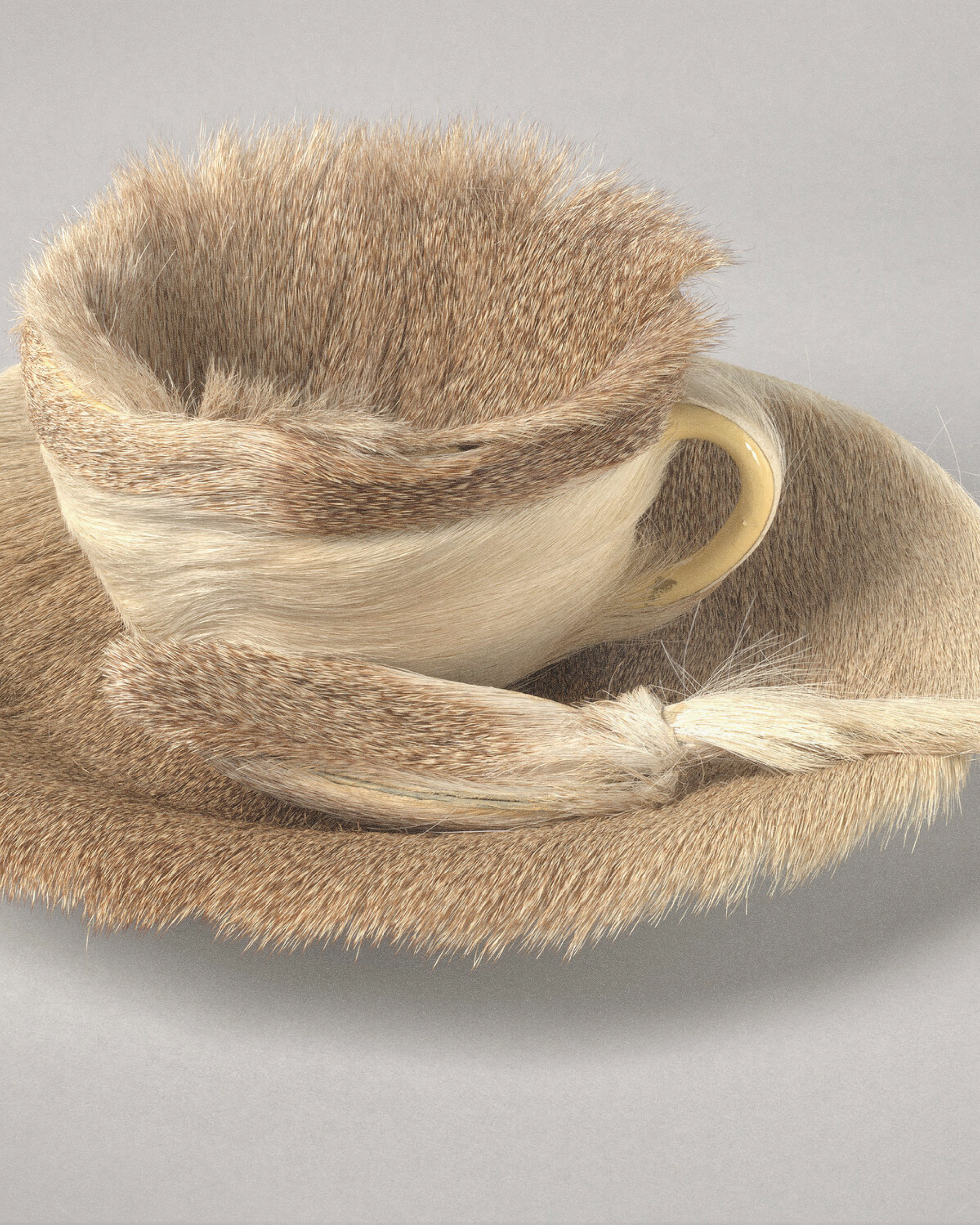 Meret Oppenheim: Surreal & Unfur-gettable