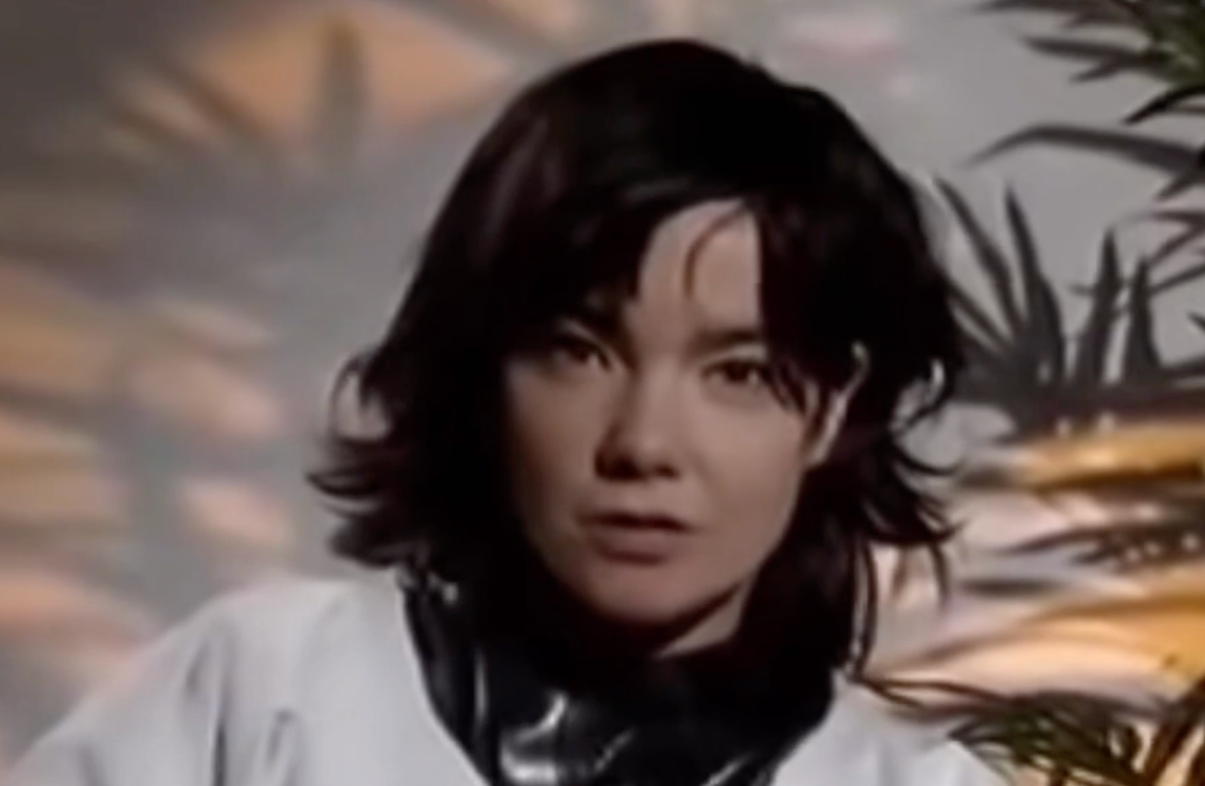 Björk Interview (1997)